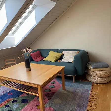 Lejlighed Koselig Loftsleilighet Notodden