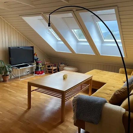 Koselig Loftsleilighet